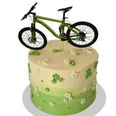 Green Shied B