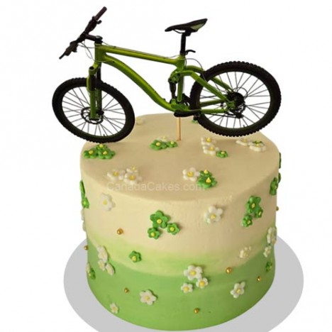 Green Shied Bike Cake 